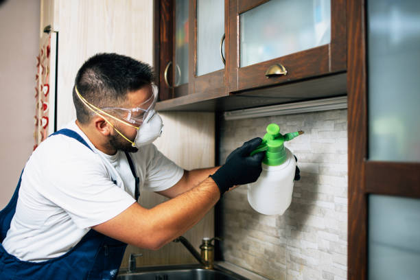 Best Wildlife Control Services  in Wildewood, MD