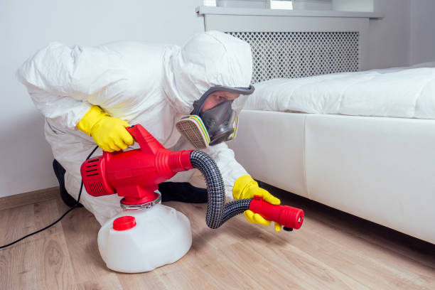 Trusted Wildewood, MD Pest Control Experts