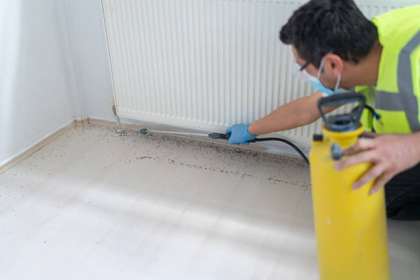 Best Bed Bug Extermination  in Wildewood, MD