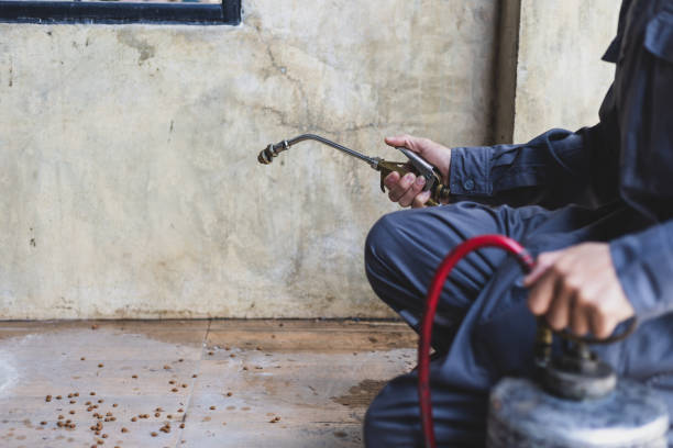 Best Affordable Pest Control Services  in Wildewood, MD